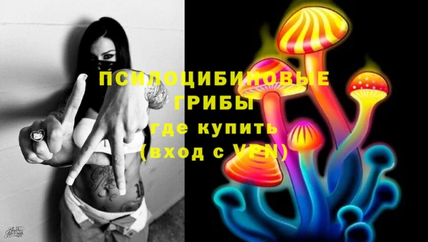 амф Арсеньев