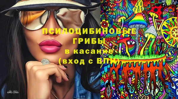 бошки Армянск