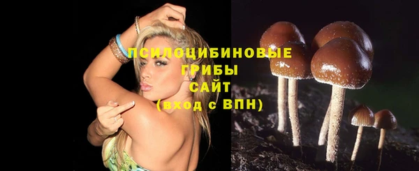 бошки Армянск