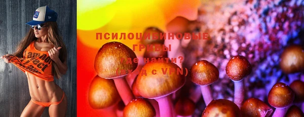 круглые Аркадак