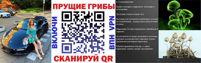 Галлюциногенные грибы GOLDEN TEACHER  Углич 